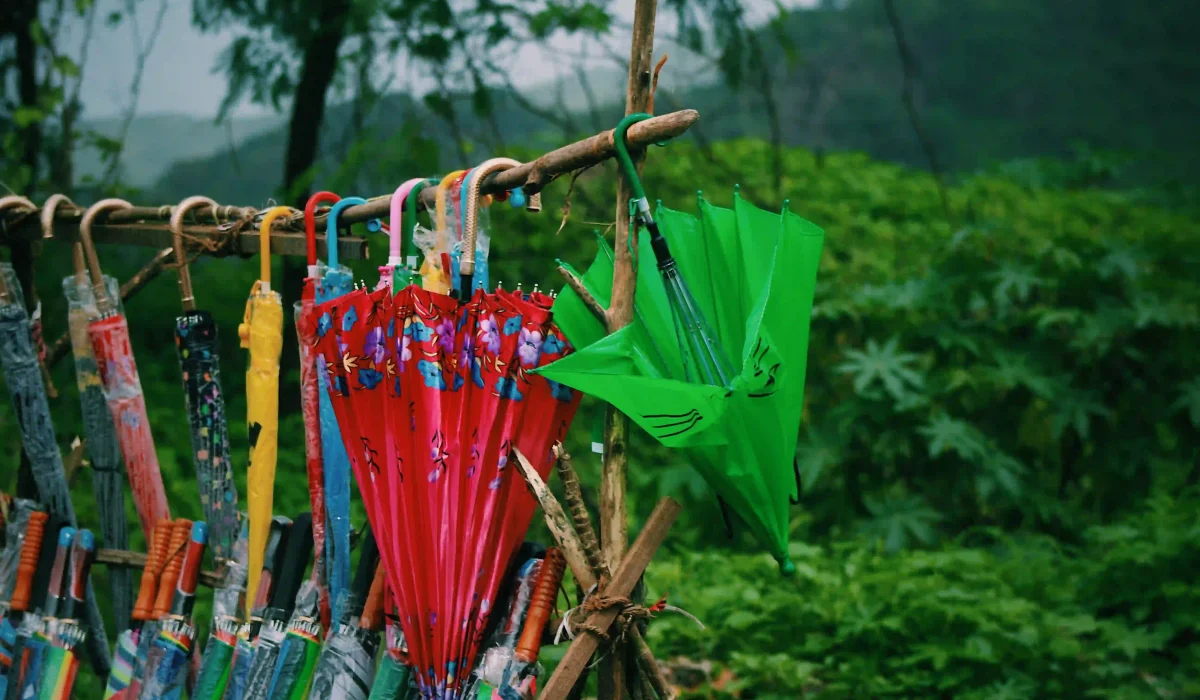 Umbrellas for sale
