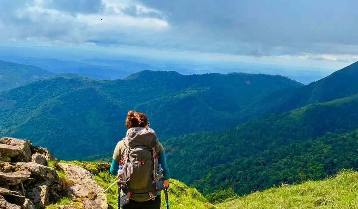 Munnar tea gardens on a budget trip